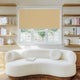 Toggle view