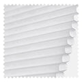 White 01